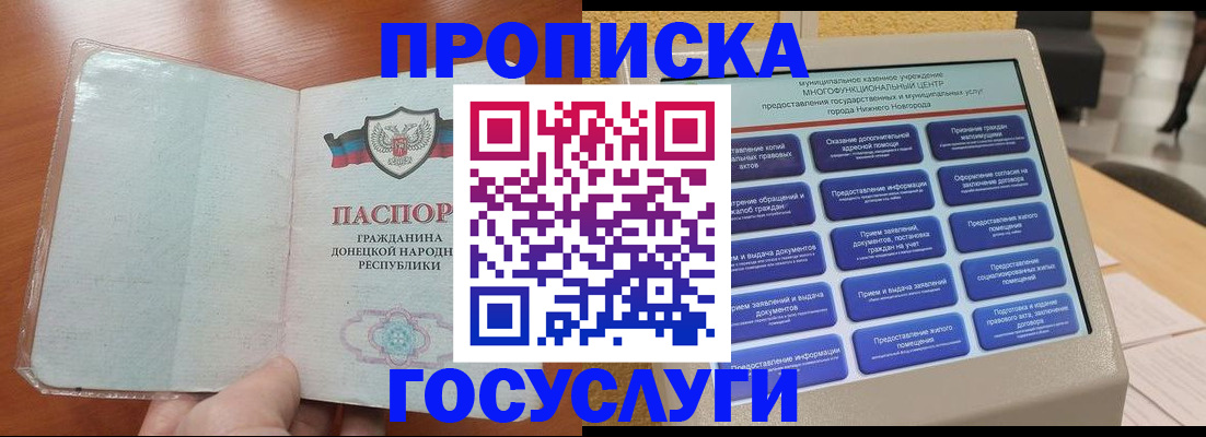 временная регистрация поиск в Курске